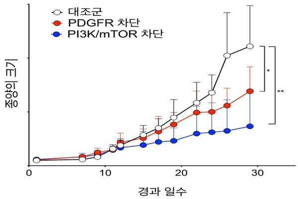악성 엽상종 억제효과 비교; 섬유화형 악성 엽상종 이식 생쥐에게 PDGFR, PI3K/mTOR 신호 차단 약물을 각각 투여한 결과, 대조군(흰색)에 비해 암 성장속도가 느려졌다. 특히 PI3K/mTOR 신호 차단군(파란색)에서 암 성장이 효과적으로 억제되는 것으로 확인됐다.